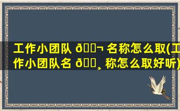 工作小团队 🐬 名称怎么取(工作小团队名 🌸 称怎么取好听)